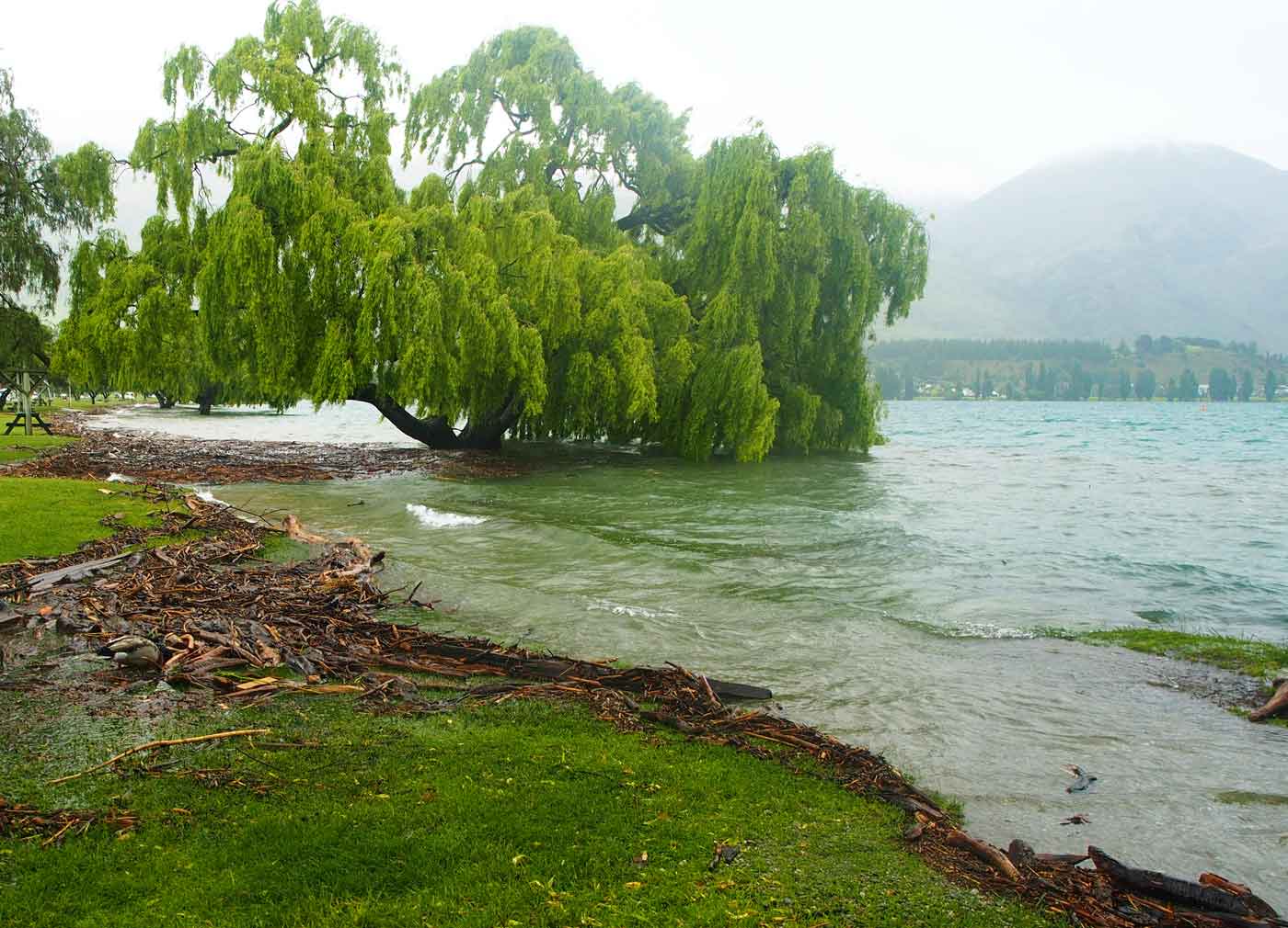 Lake Wanaka New Zealand flooding