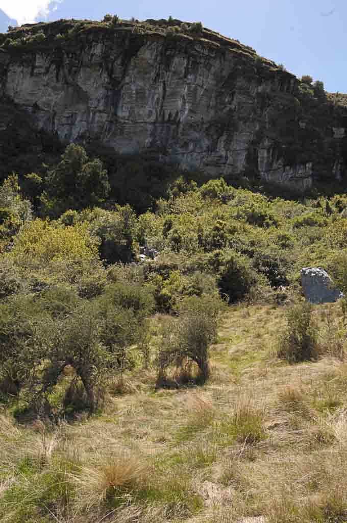The matai above Diamond Lake, near Wanaka. The matai tree is right on the shadow line, towards the left.