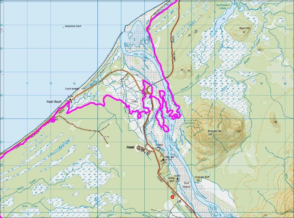Map of the Haast region with an 8 m higher coastline (pink line). The Haast Pub and bridge are underwater at high tide. Many of the inland swamps may be salty.