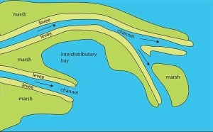 Schematic diagram illustrating the kind of interdistributary bay that would have existed at Bannockburn in the Miocene.