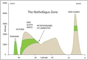 The Nothofagus Zone (green) between Tasmanian and New Guinea (pretty sure I adapted this figure from someone else's a long time back. I'll add the credit when I find it)
