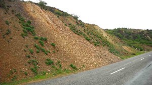 Shale Bannockburn 78412