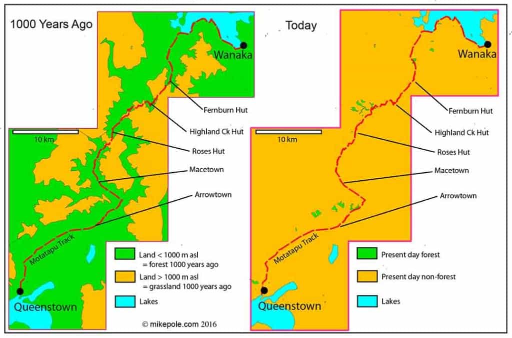 The Motatapu Track: vegetation it would have passed through c. 1000 years ago (left) and today (right)