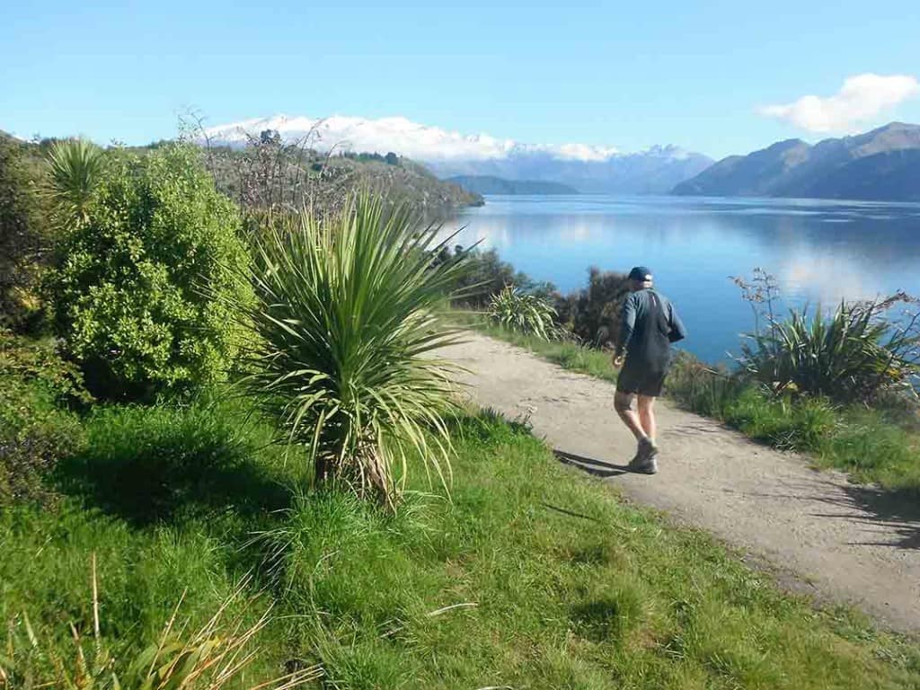 track-around-lake-wanaka