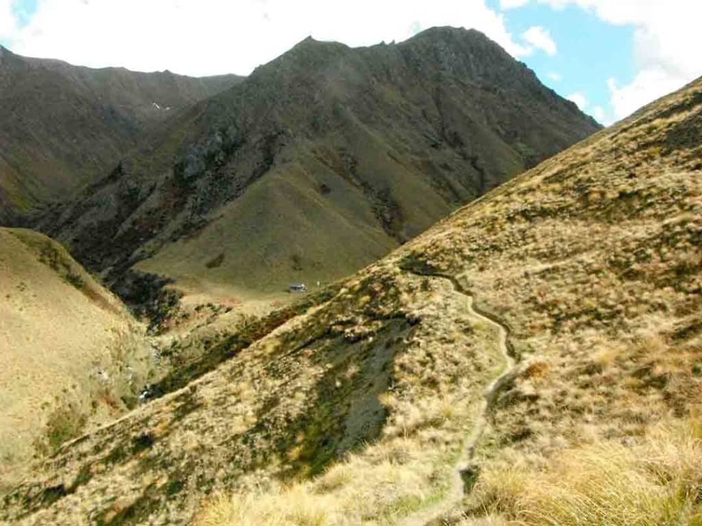 track-to-fern-burn-hut