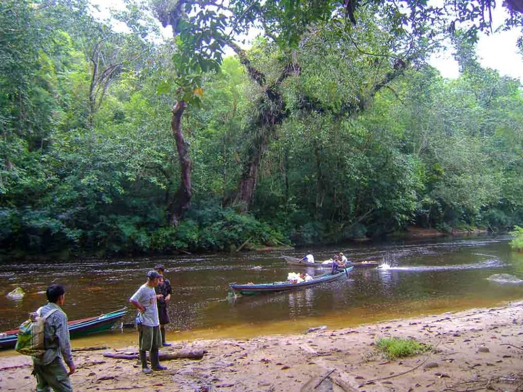Our long boat is pulled up on the bank of a rainforested stream deep in Kalimantan (Indonesian Borneo) while others pass by.
