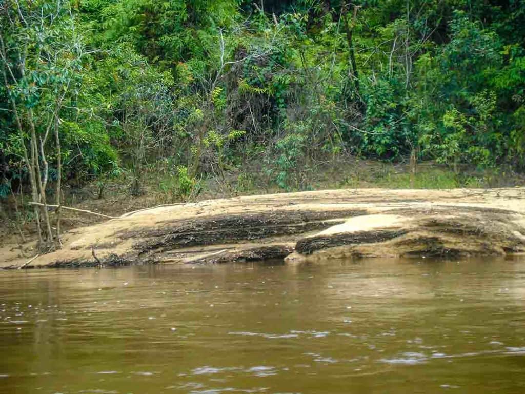 A view of another leaf mat, this one more clearly showing it has been covered by a layer of white sand.