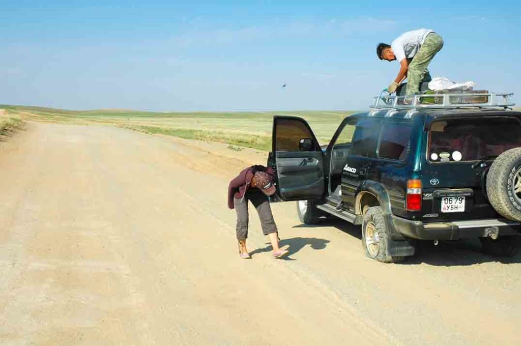 Travelling in Mongolia - and another flat.