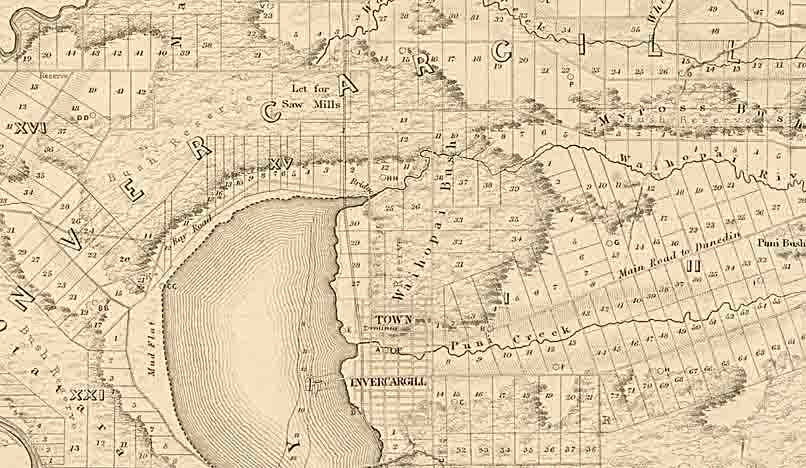 A section of an 1865 cadastral map showing forest/bush patches in the area around Invercargill (Sir George Grey Special Collections, Auckland Libraries, NZ Map 3842)