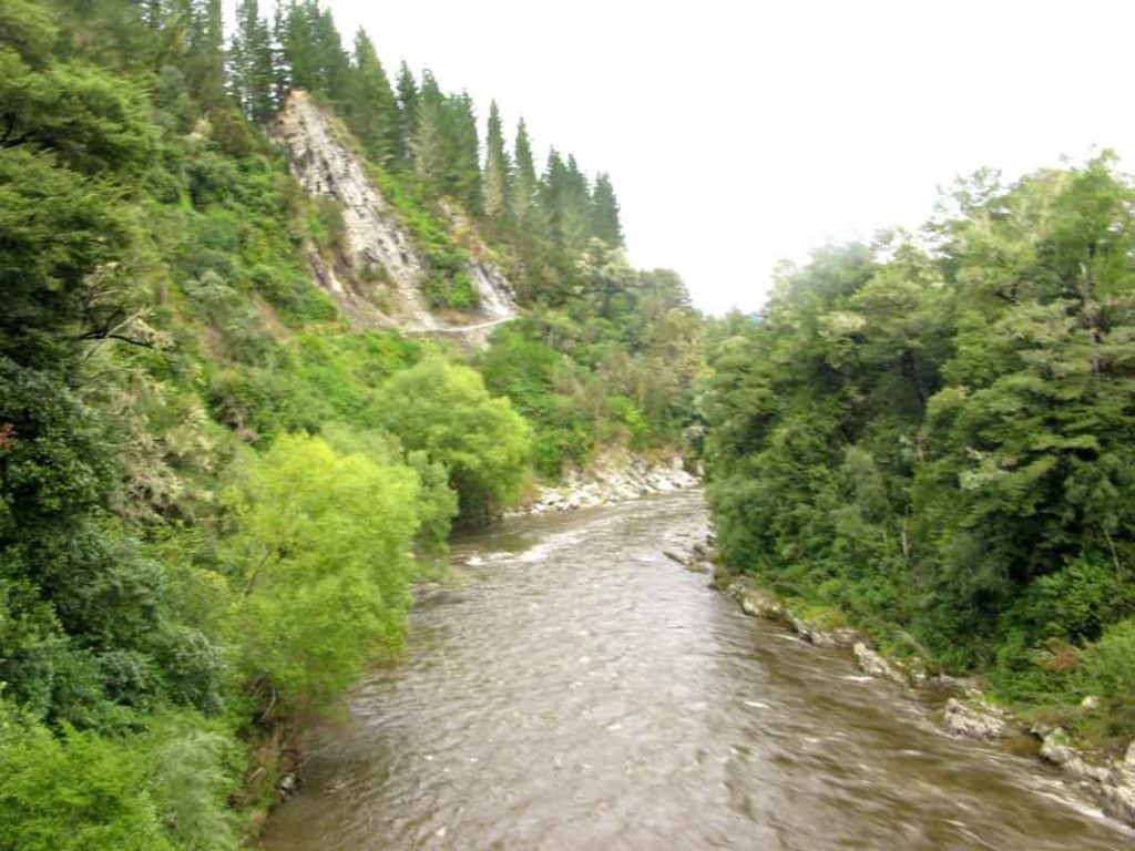 The Buller River north of Murchison. The rocks where I collected the horsetail fossils, and had my fall, are in the center. Above that is the road, a very steep haul to make when you've smashed yourself up.