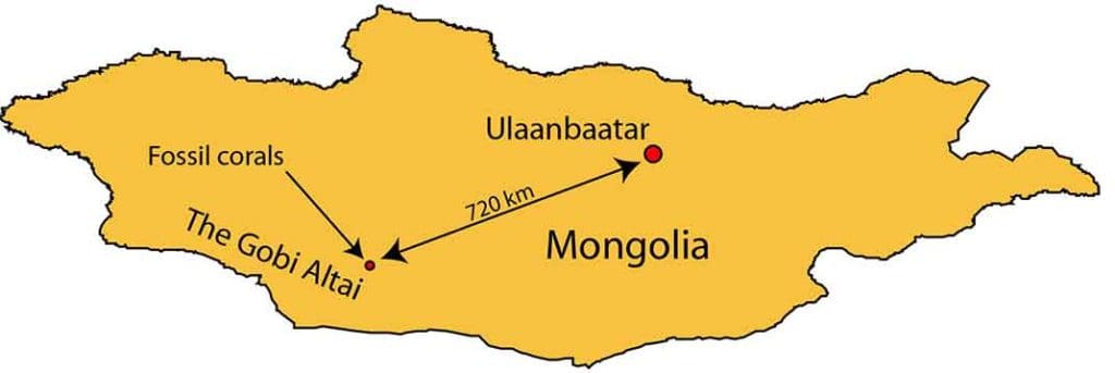 The Gobi Altai mountains are in the south west of Mongolia. The locality described here is about 720 km from the capital, Ulaanbaatar.