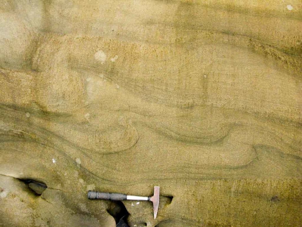 Wet-sediment deformation on North Head. Slumping has convoluted the bedding within this sandstone.