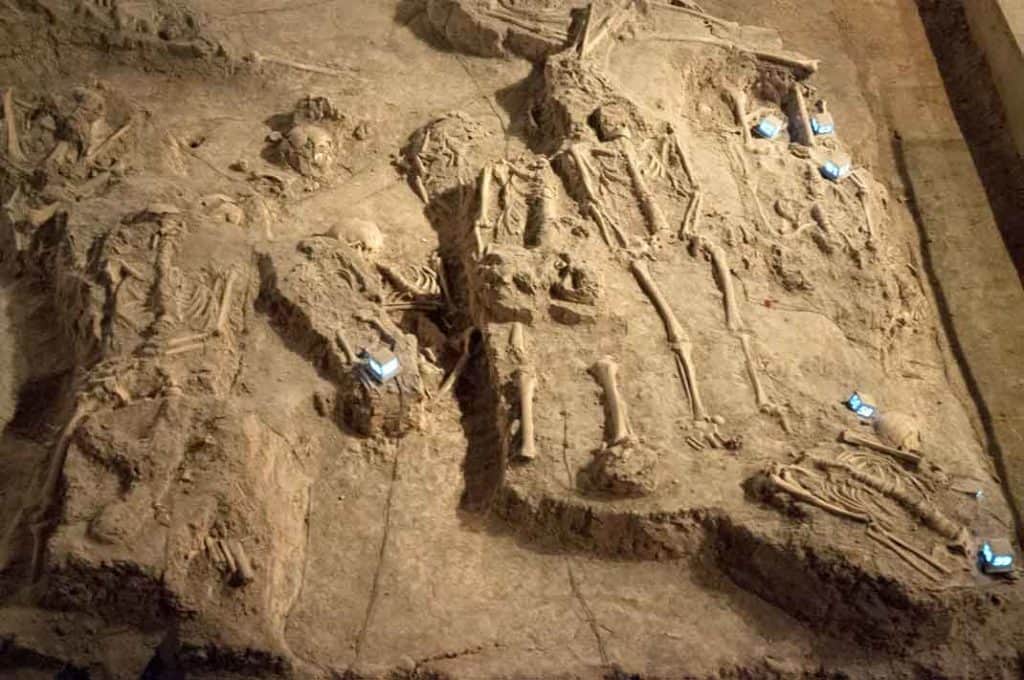 Skeletons in the Nanjing Massacre Memorial.