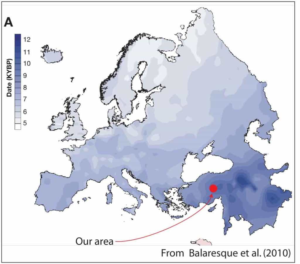 A map from Balaresque et al., (2010) colour-coded to indicate the earliest record of farming (darker is older). The red spot indicates the area covered by this post.