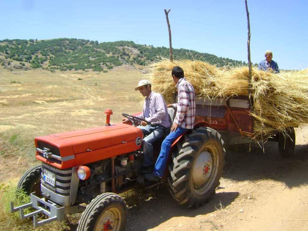 Turkish farmers on our lease