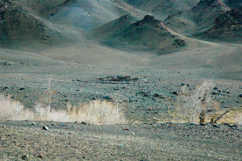 In Mongolia's far south-west border region, I spot a Bronze Age burial mound in the distance - with a few trees along a dry watercourse in the foreground. 