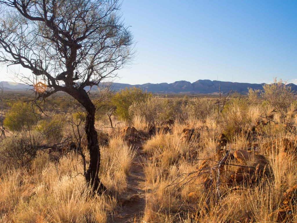 Heading across the Alice Valley.