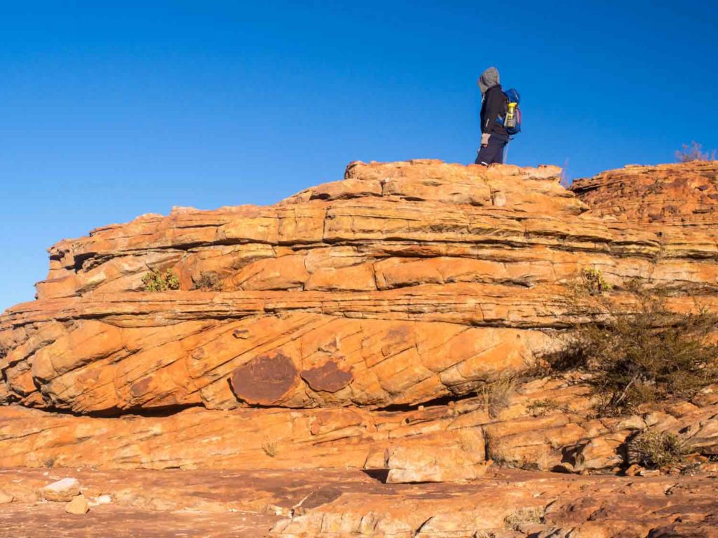 A mix of cross beds and horizontal Mereenie Sandstone beds at Kings Canyon, central Australia. To my mind these were deposited in water.