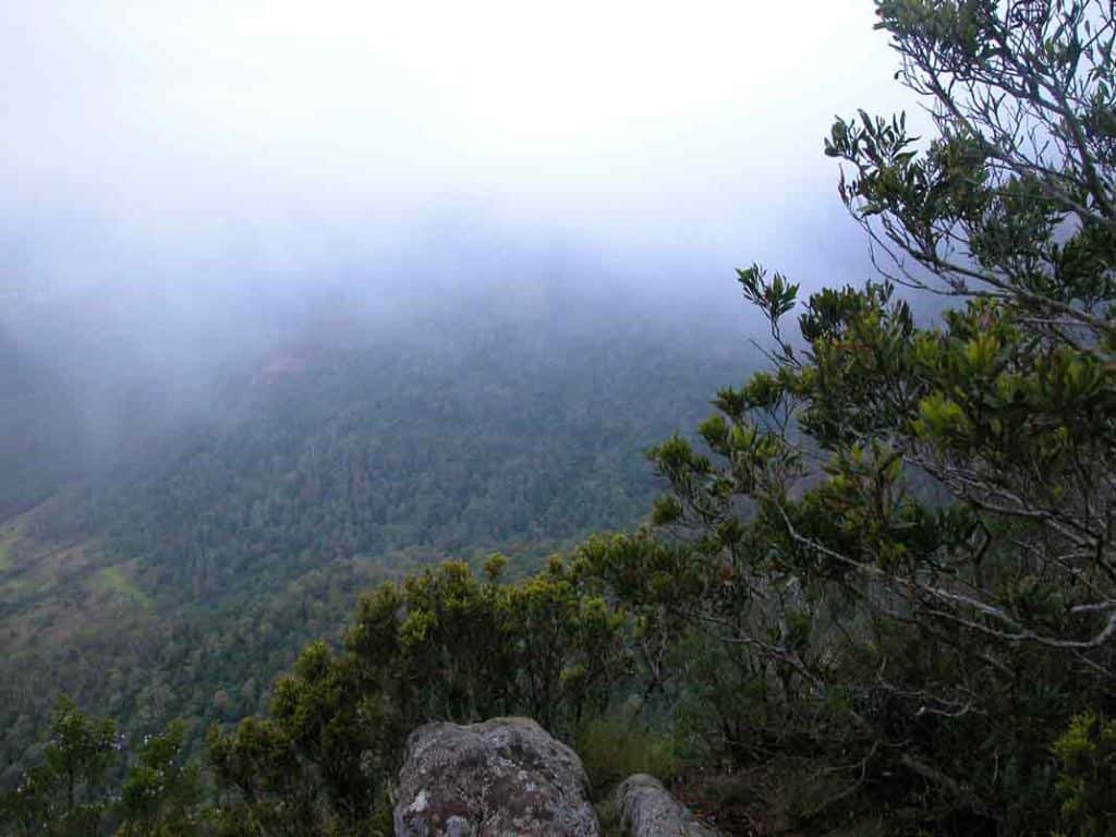 A view along the caldera rim. New South Wales on the left. Bernard O'Reilly would have seen a similar view in 1937 - with the Stintson wreck in what is here within the raincloud in the distance.