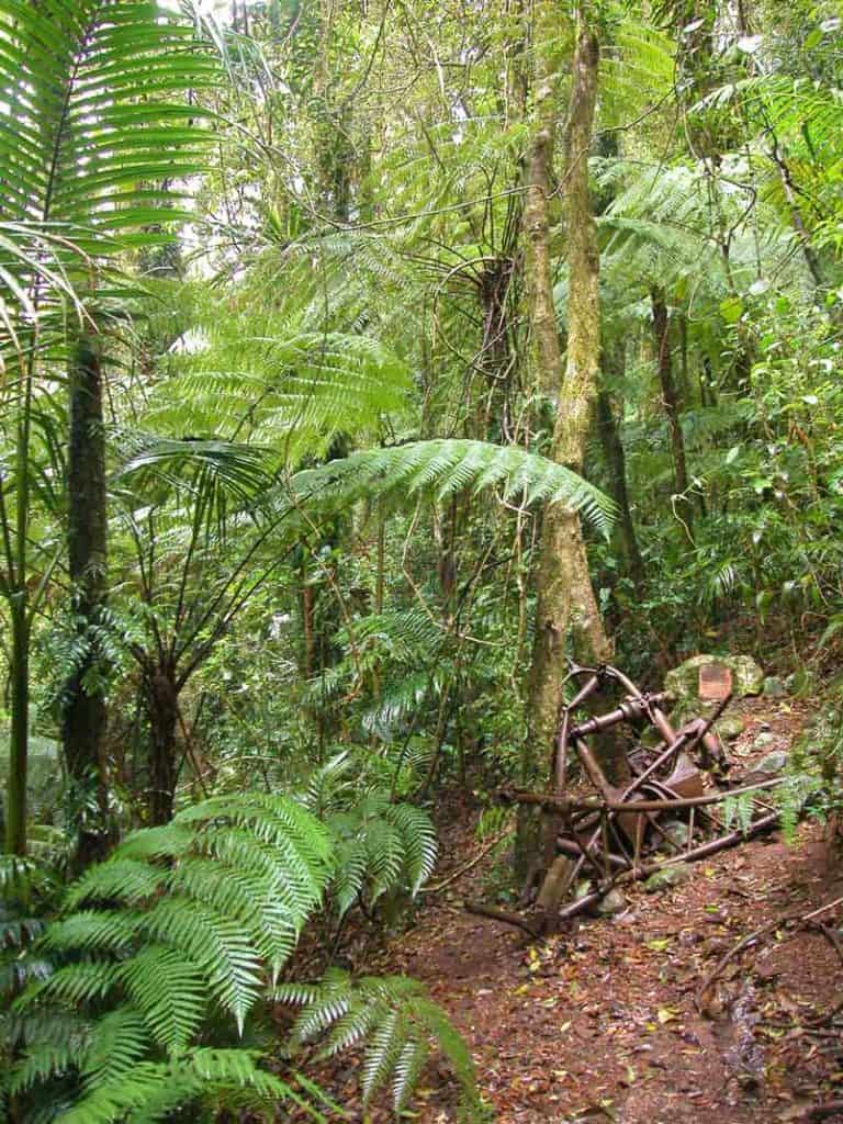 First sight of the Stintson wreck - a pile of metal in thick rainforest.