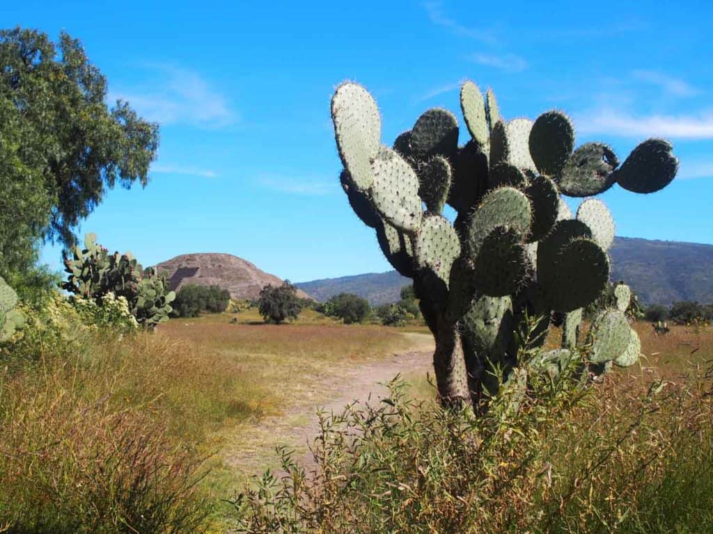 Time away from the crowds - a quiet dirt track with the Temple of the Moon in the background. 