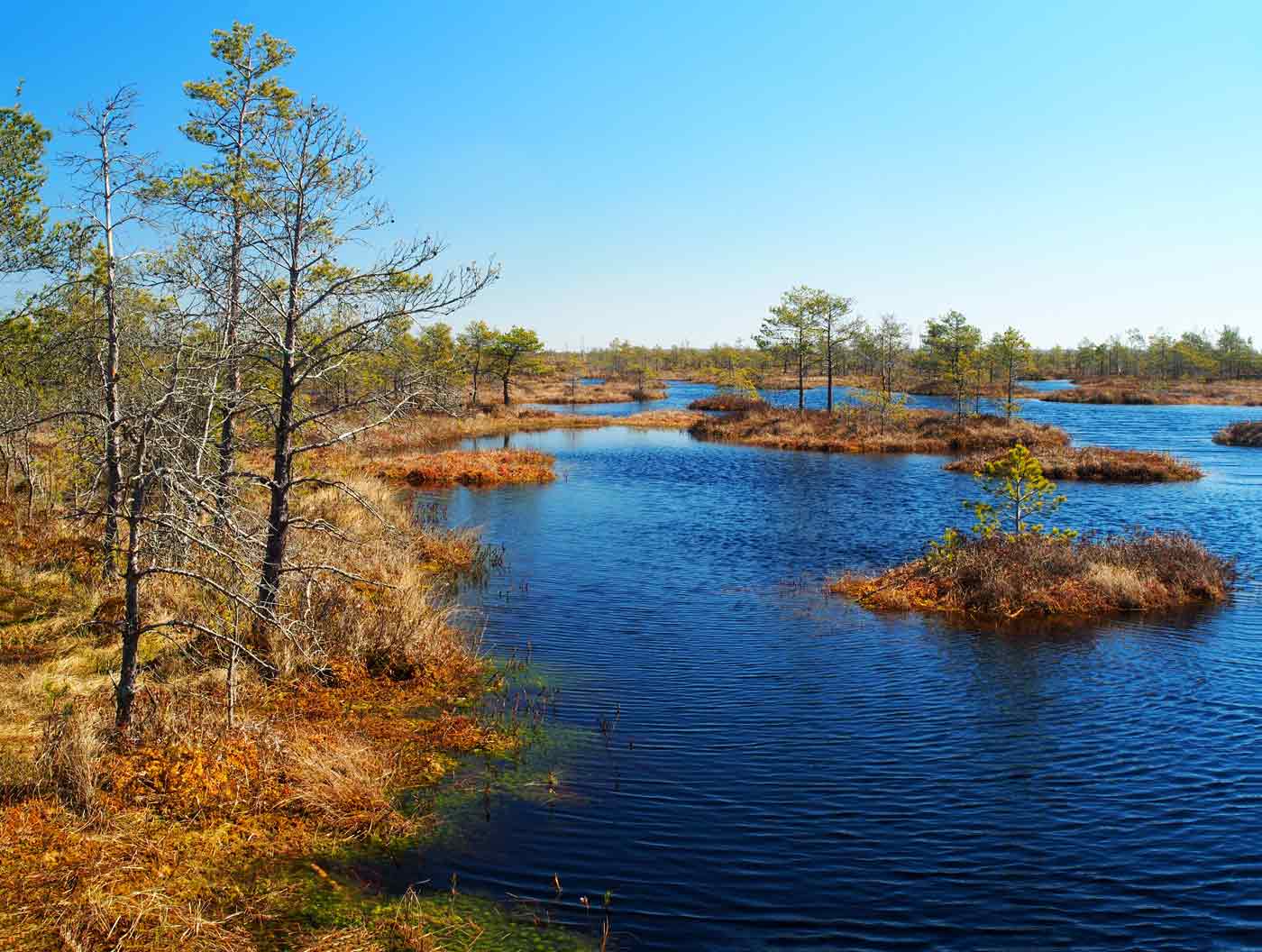 Yelnya-Bog Belarus