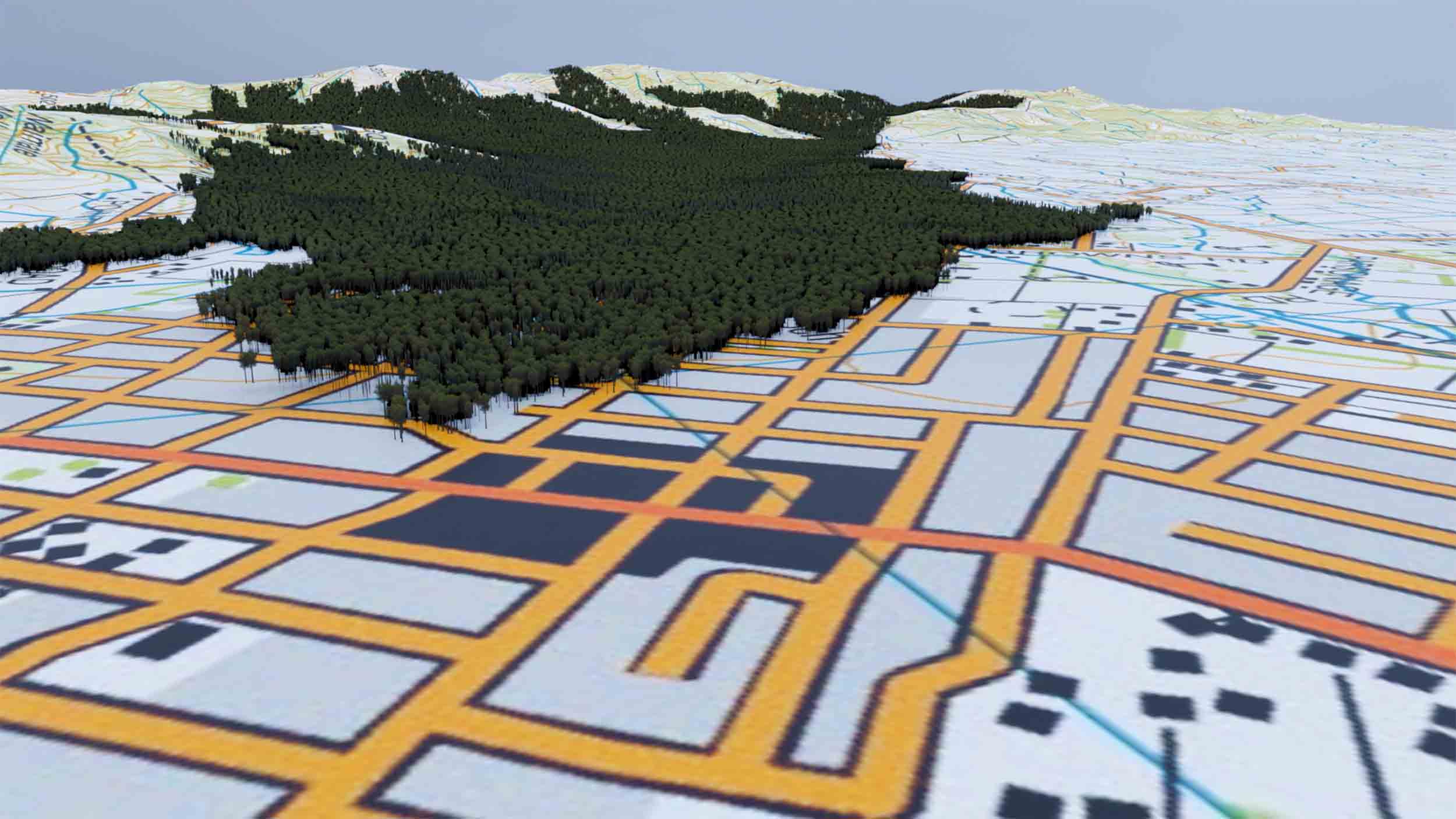 Digital reconstruction, showing the original extent of Waimate Bush, shown on the 1:50,000 LINZ Topo map. View towards the Hunter Hills. The red road is the main road through Waimate town (town centre in solid black).