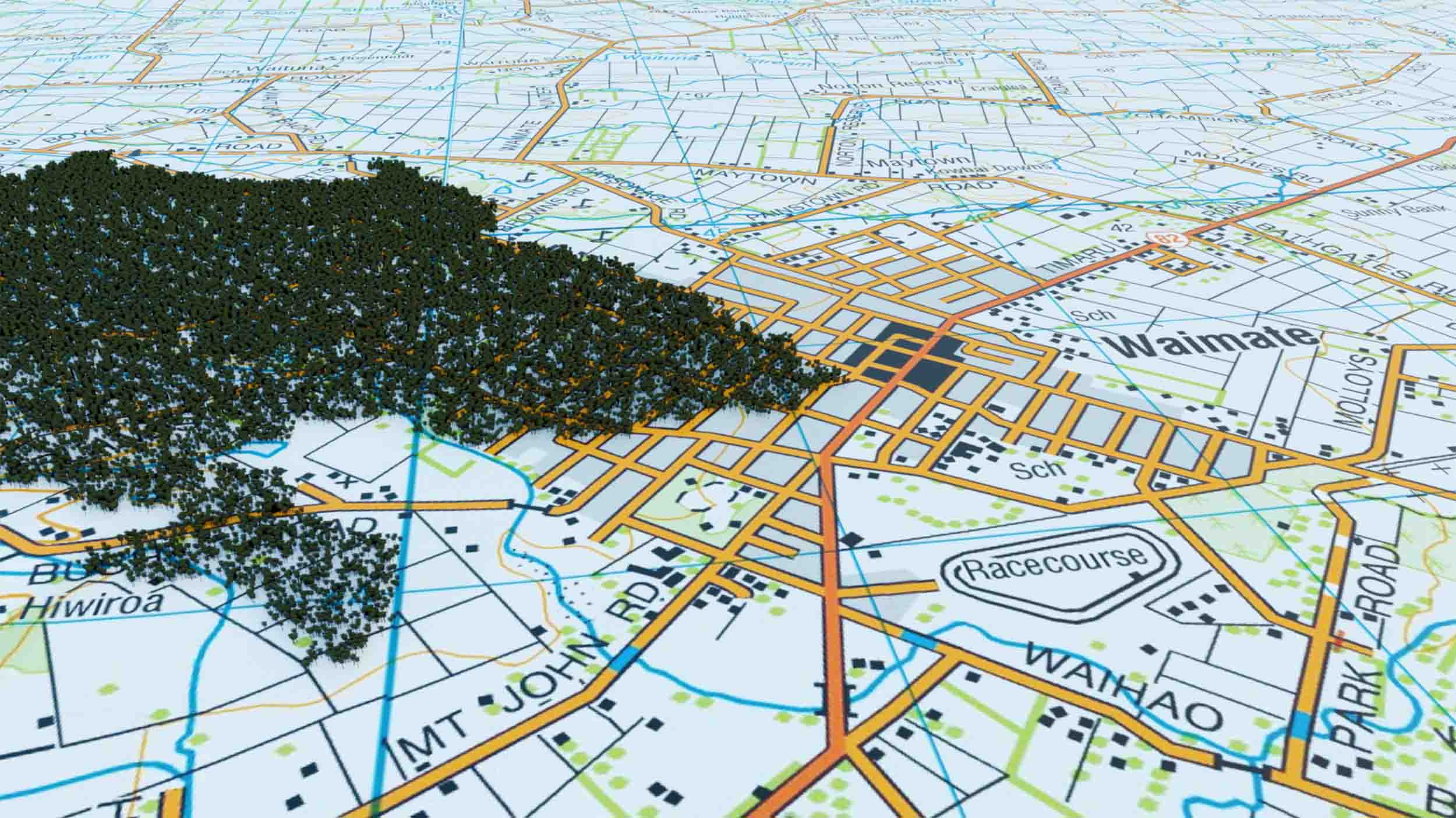 The location of Waimate Bush with respect to present Waimate town, shown on the 1:50,000 LINZ Topo map. View towards the north.