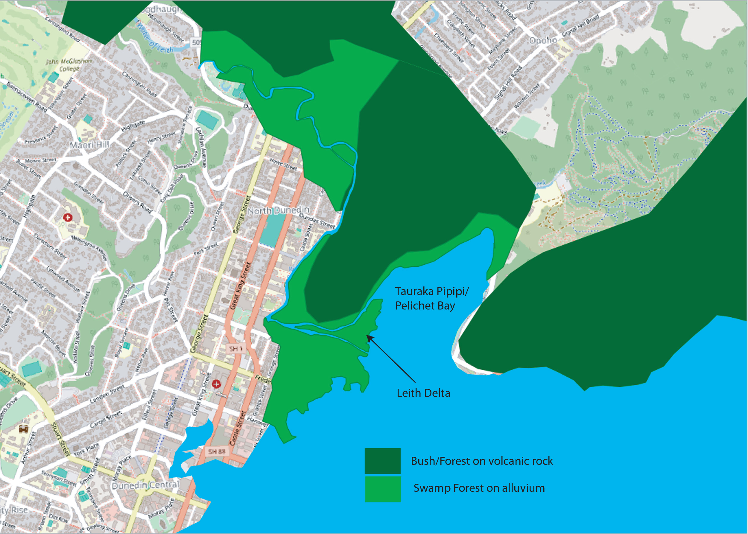 The 1847 distribtion of swamp forest on alluvium (light green) and bush/forest on volcanic rock (dark green). Shown over Google Street Map for orientation (Image, the author: Mike Pole)