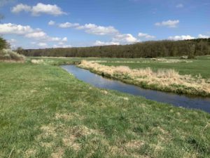 View downstream - the line of trees/hedge with the track leading back to Weltzin is just visible on the far left. Weltzin 13 is on the left bank, slightly closer. The causway was on the low ground on the other side of the Tollense. Image: the author (Mike Pole).