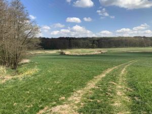 Looing down the farm track onto the Tollense, including the Welztin 20 site. Image: the author (Mike Pole).