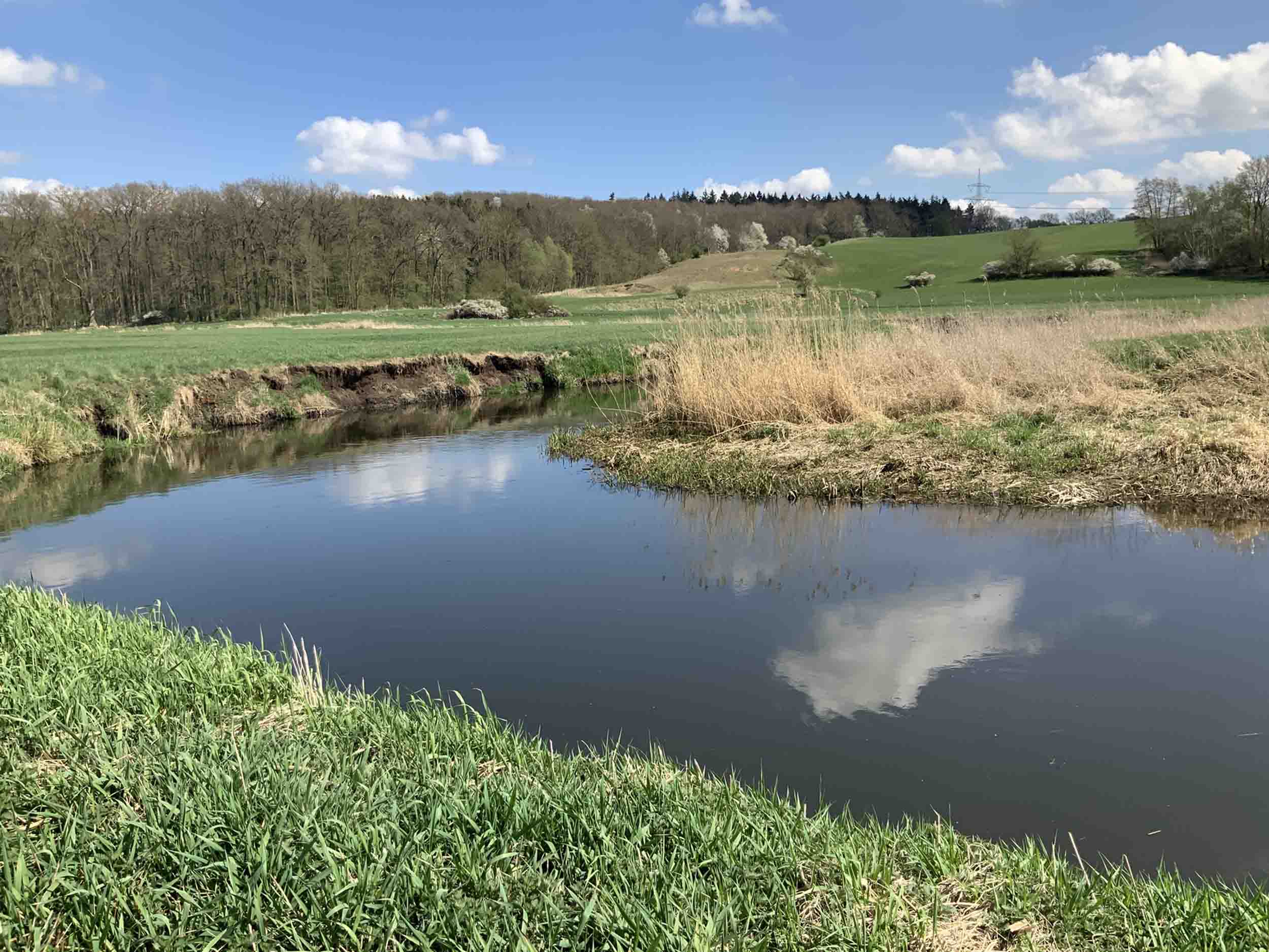 A little peat visible in the river bank (approximate area of Weltzin 13). Image: the author (Mike Pole).