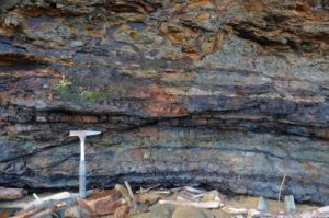 Coal, carbonaceous mud, and grey, 'gleyed' mud in the Jurassic of the Fortrose-Otara coast, New Zealand.